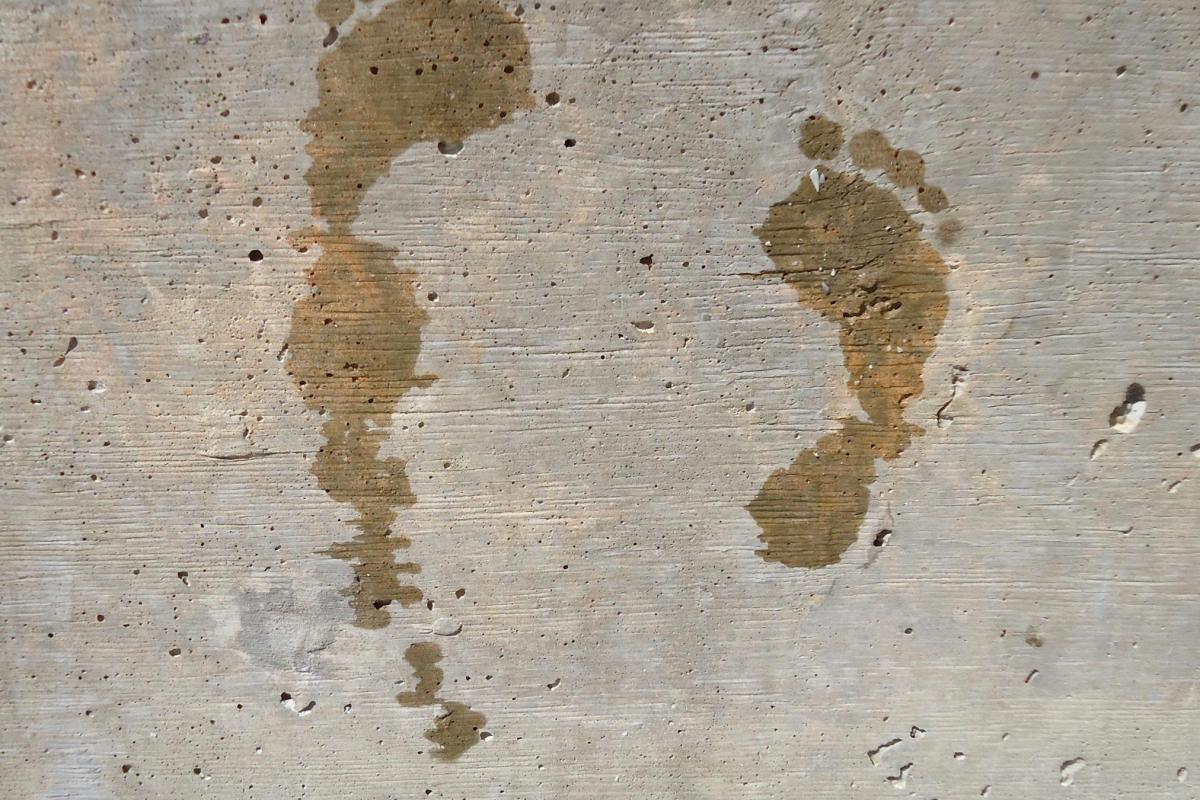 Tekst o sile nadawania znaczenia słowom i określeniom, którą w sobie mam