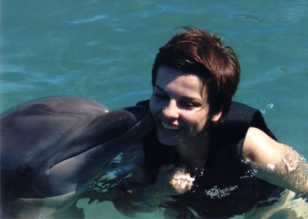 pływanie z delfinami