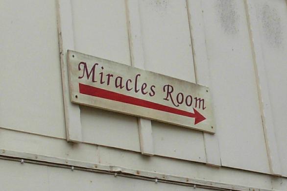 Tekst o tym, że katalogowanie życia jest niepotrzebne