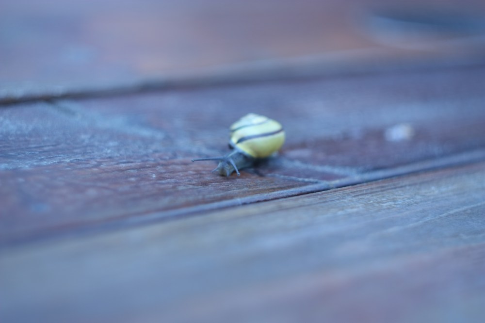 nie-warto-rzucać-pracy-od-razu