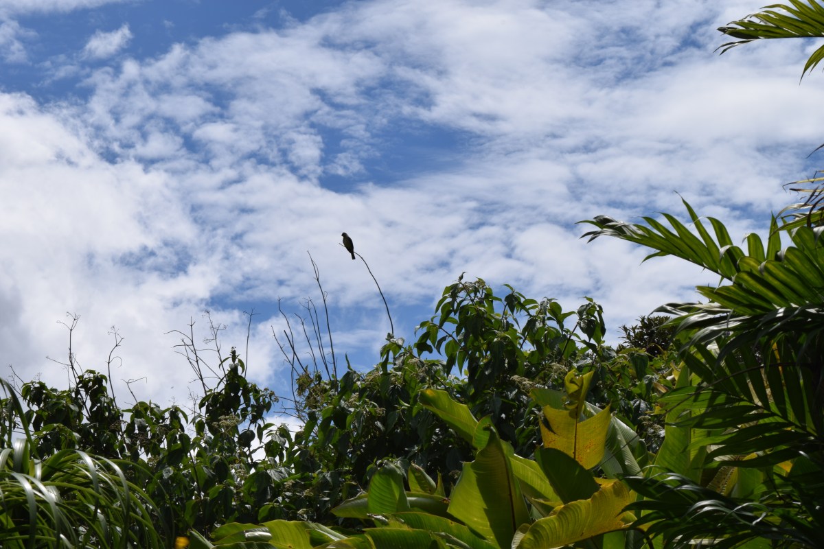 Patrz, żeby zobaczyć. Dostrzegaj świat