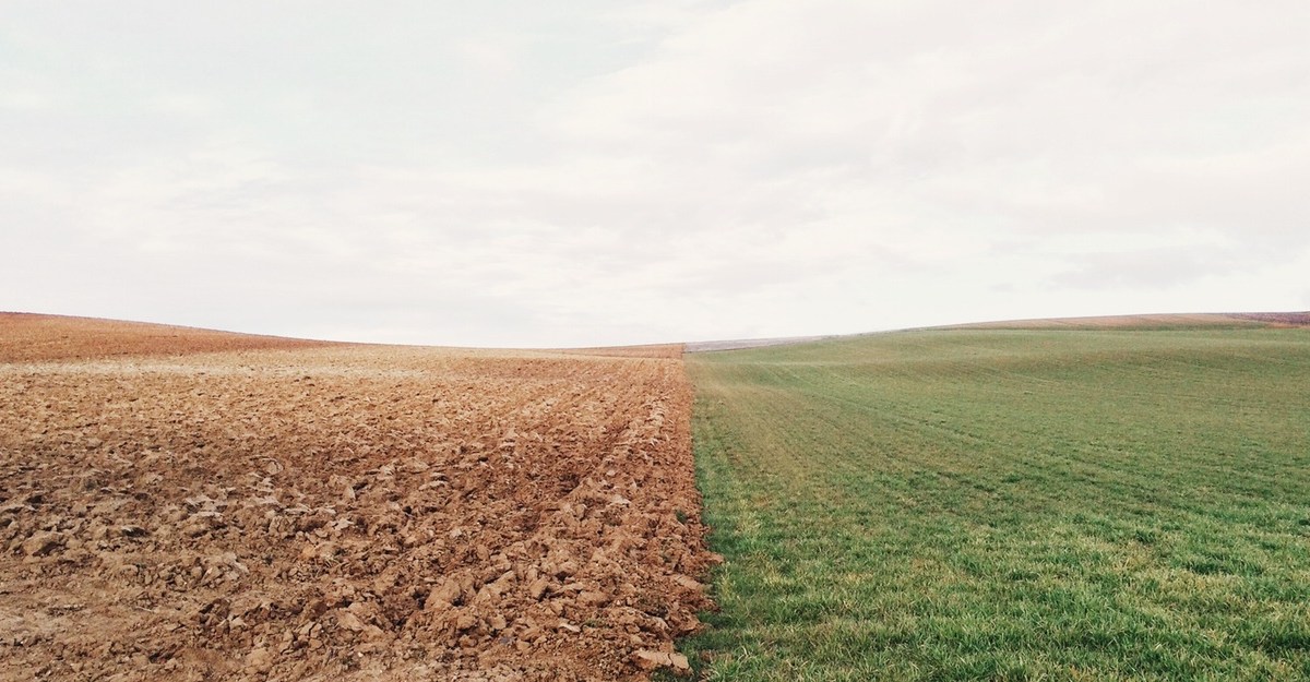 Nie oceniaj książki po okładce. Recenzja reportażu Melchiora Wańkowicza