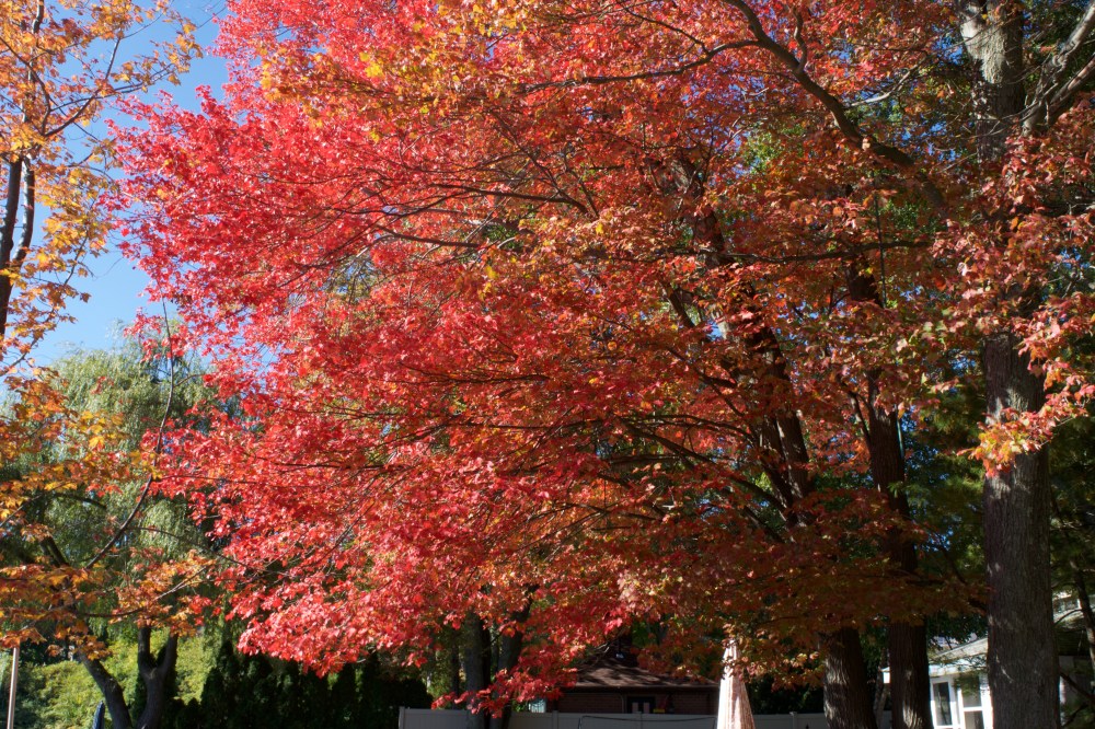 thoughtsblender-podsumowanie-pazdziernika-14