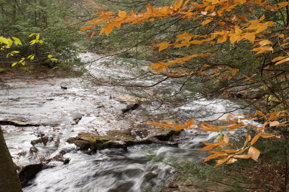 thoughtsblender-podsumowanie-pazdziernika-5