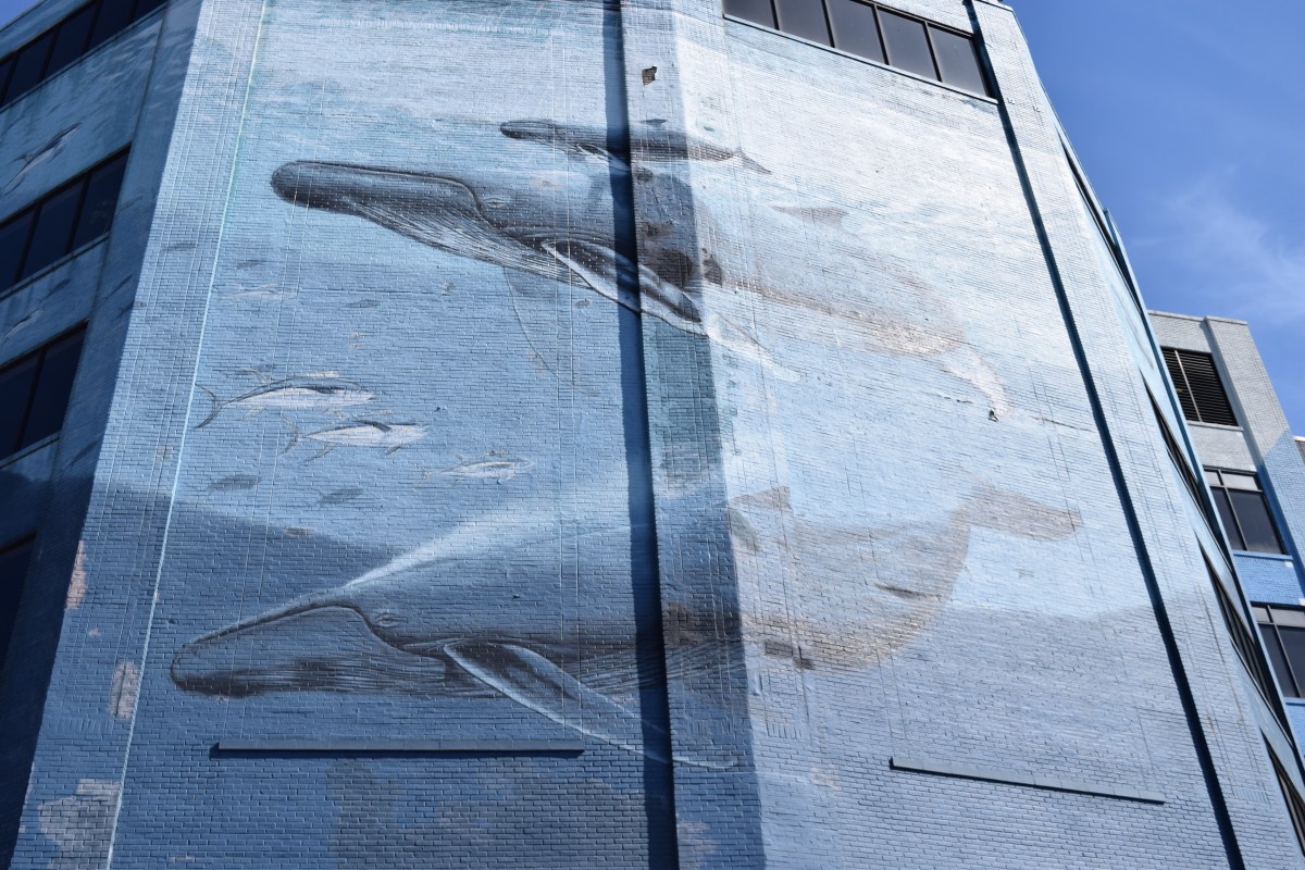 Mural z wielorybami w Filadelfii