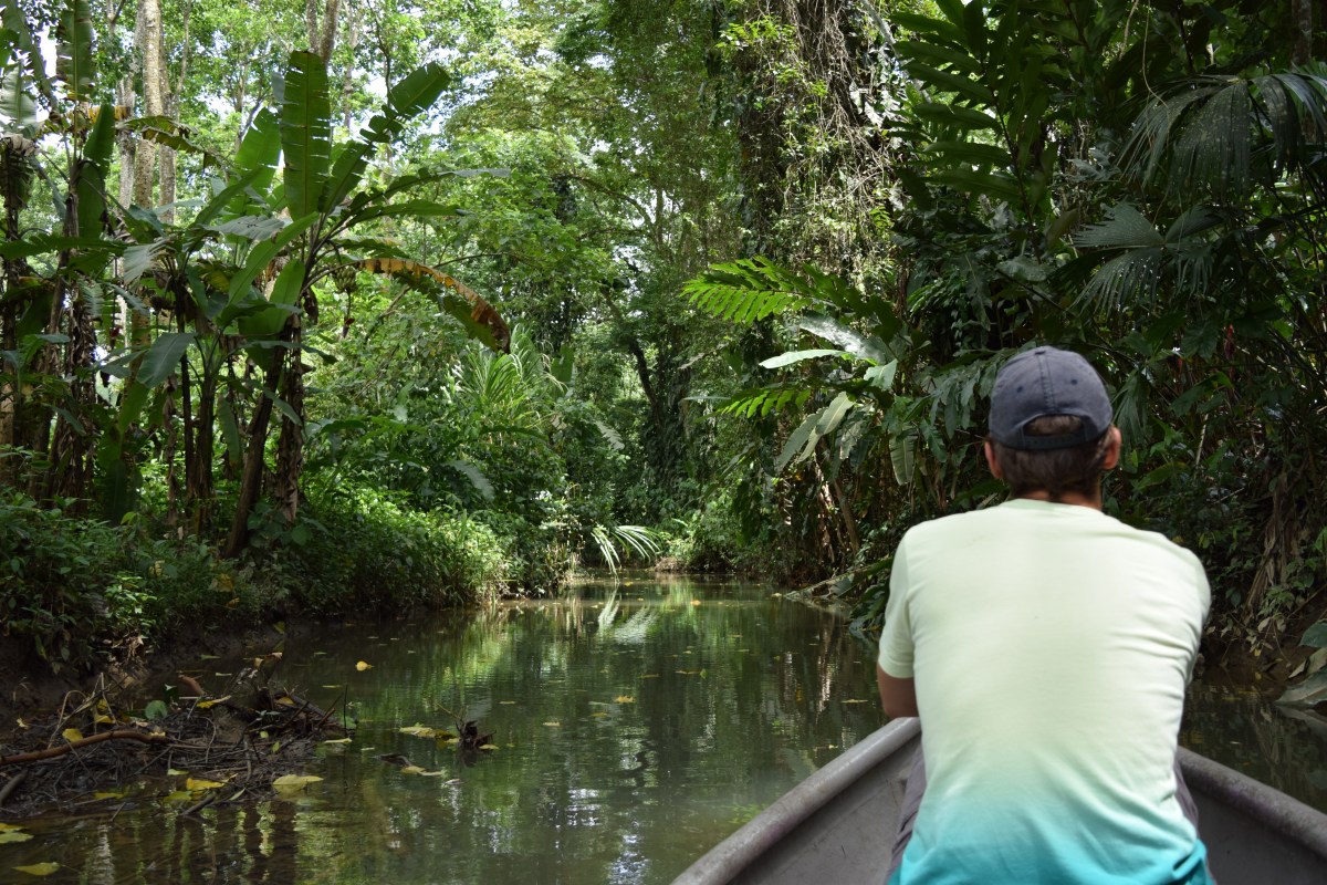 Roślinność na Kostaryce