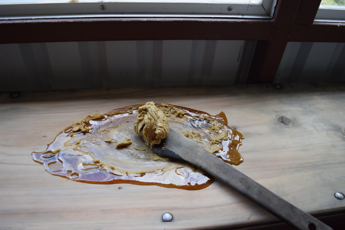 Produkcja cukru trzcinowego